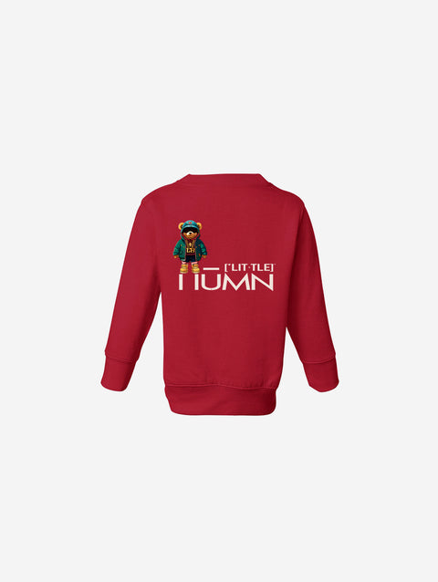 Little Humn Baby Toddler Red Great Sweatshirt