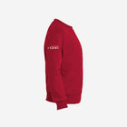 Youth fleece sweatshirt in rich burgundy, featuring the charming LH mascot design in black. Warm and stylish for cooler days.
