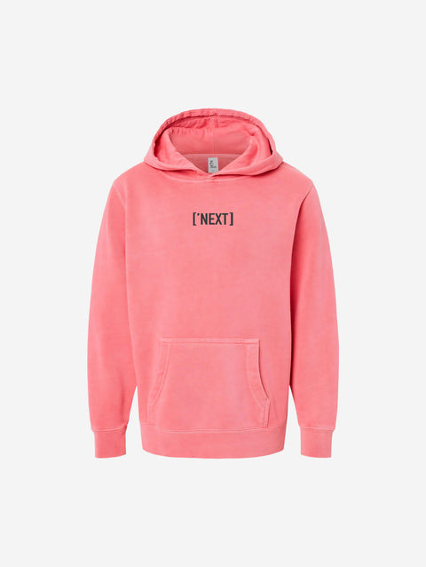 ['NEXT] PD YOUTH HOODIE